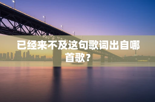 已经来不及这句歌词出自哪首歌？