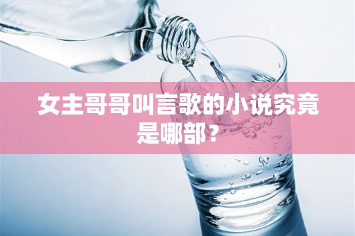 女主哥哥叫言歌的小说究竟是哪部？