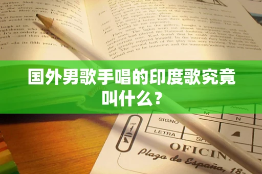 国外男歌手唱的印度歌究竟叫什么？